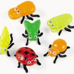 Insects in Cornflower
